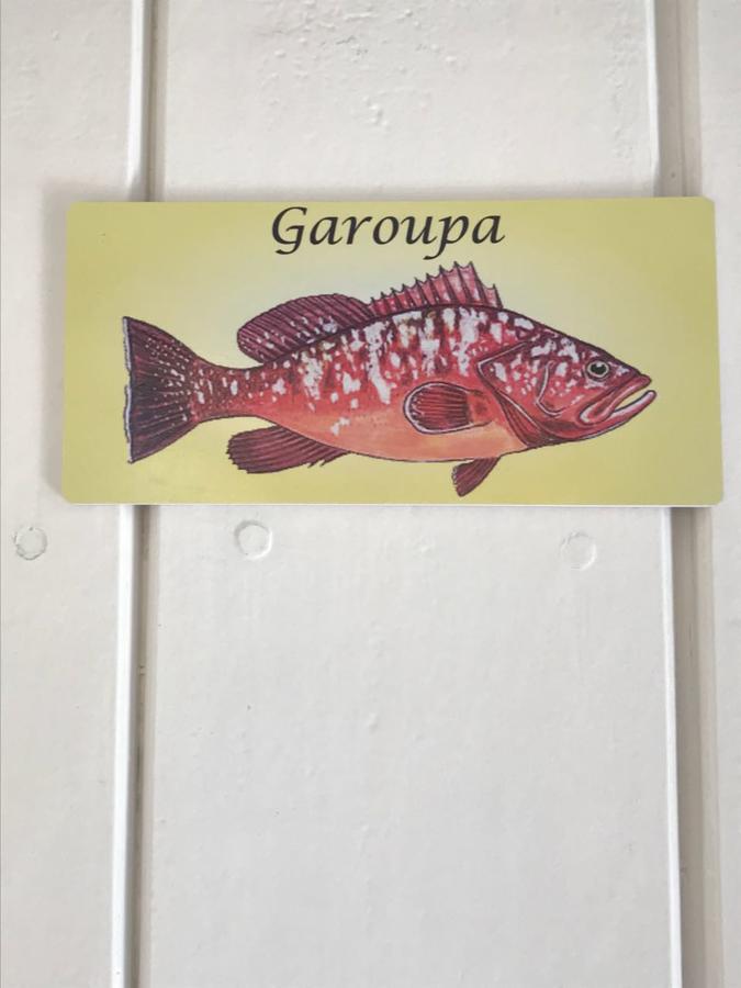 Guest house Aquarius Osteria