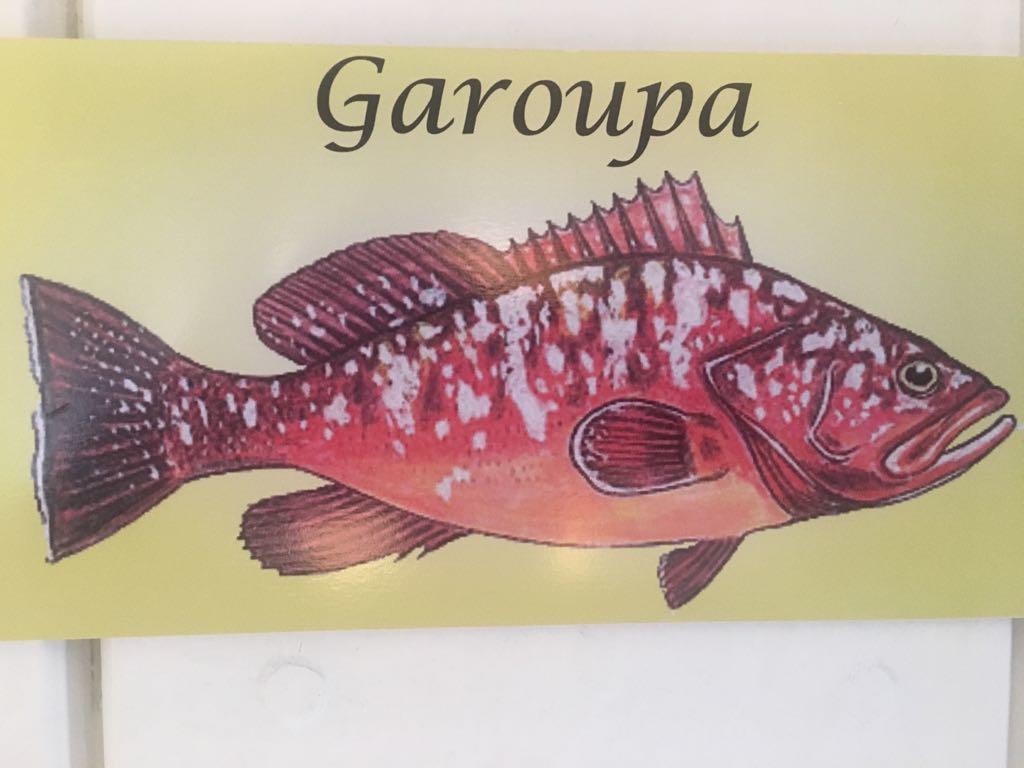 Aquarius Osteria Guest house